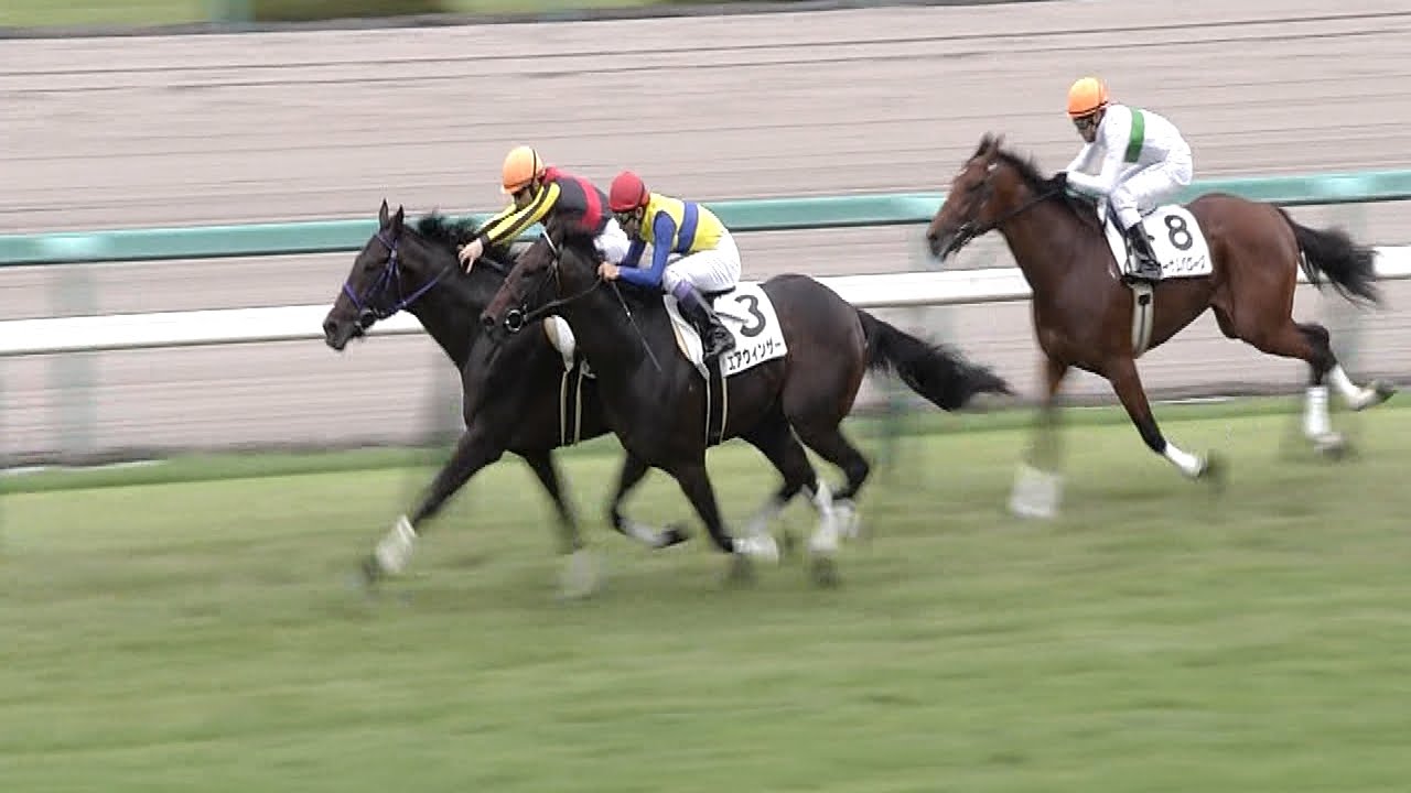 エアウィンザー、金鯱賞の鞍上は武豊騎手　大阪杯の鞍上は調整中