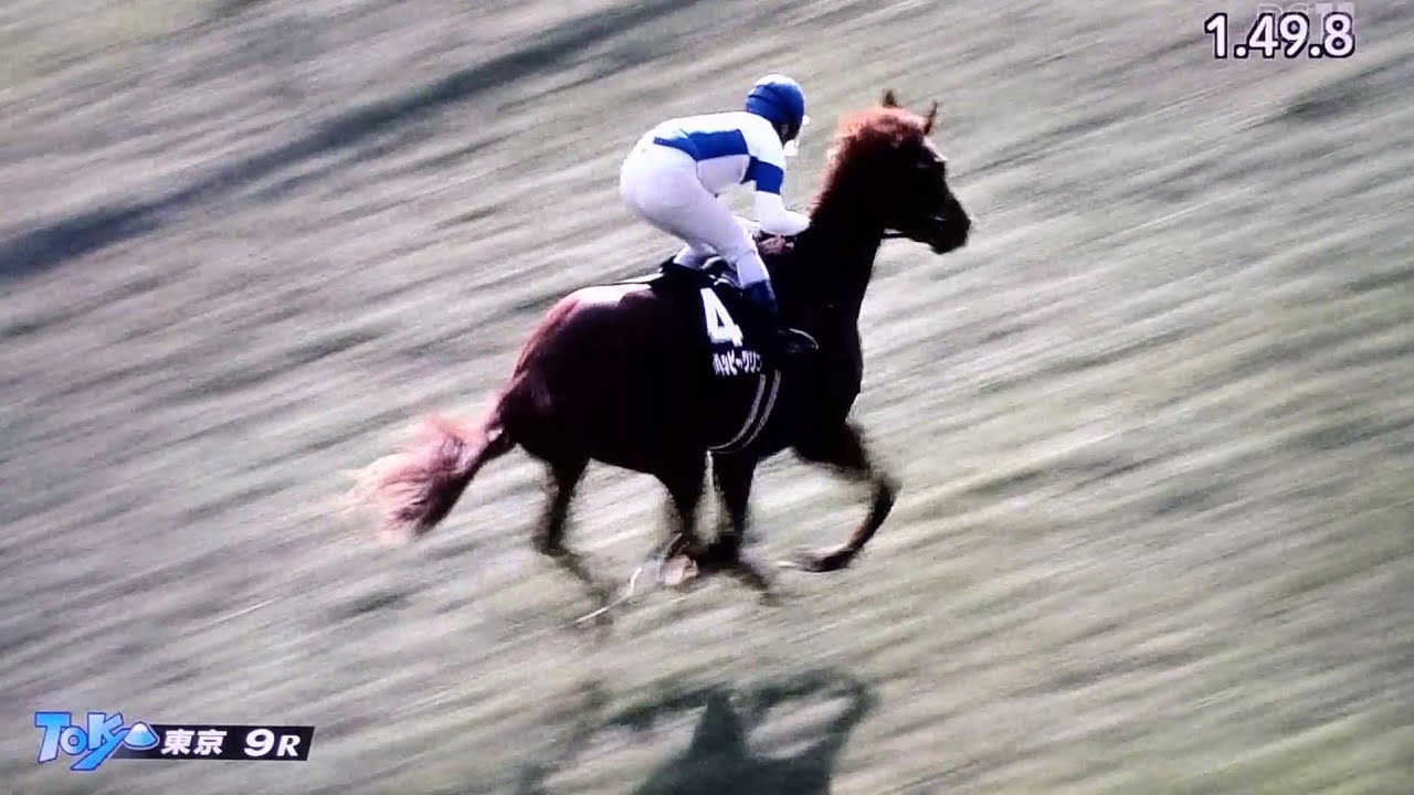 ハッピーグリンの馬主、有馬記念で戸崎圭太騎手騎乗の日刊スポーツの飛ばし記事に苦言
