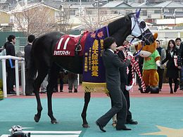 日本史上最も運が悪かった馬はショウナンマイティ