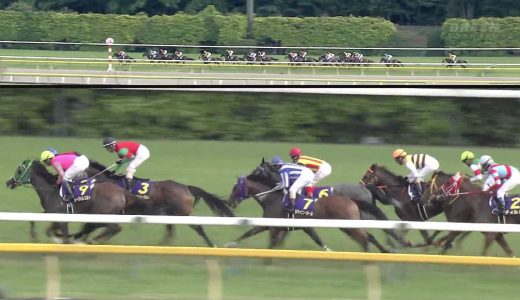 実はマイラーの馬