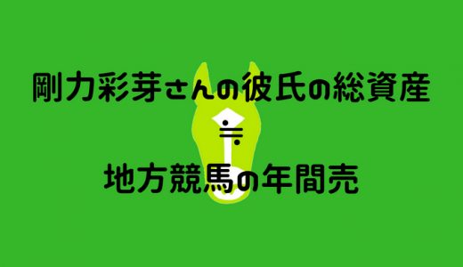 剛力彩芽さんの彼氏さんの総資産が地方競馬の年間売り上げとほとんど変わらない件ｗｗｗｗｗ