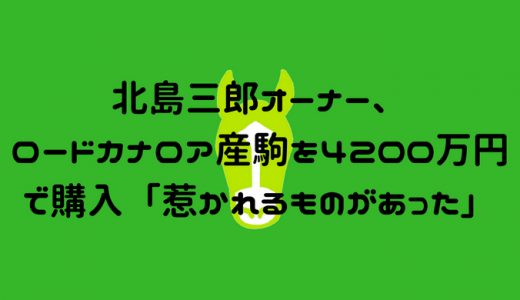 北島三郎オーナー、ロードカナロア産駒を4200万円で購入「惹かれるものがあった」