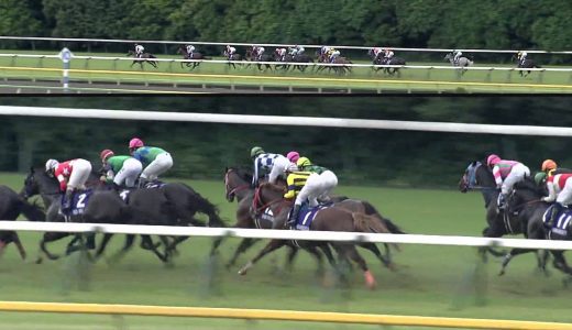 どうして最近はダービーと菊花賞の二冠馬がいないのか