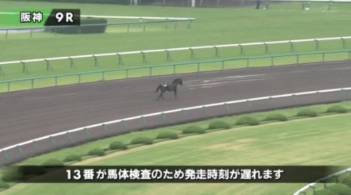 競馬辞めた奴来い　どうやって辞めれた？