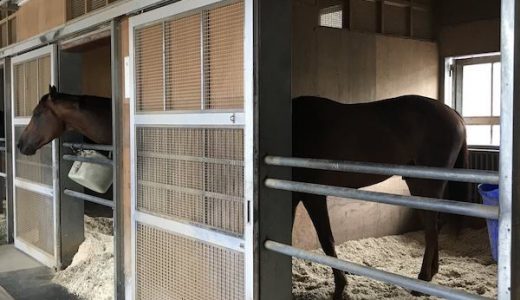 飯田祐厩舎で世界一長い馬が発見されるｗｗｗ