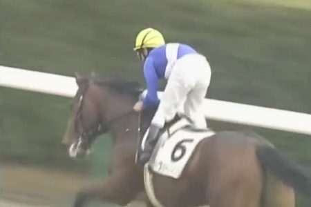 寿司ネタが入る競走馬で100を目指すスレ