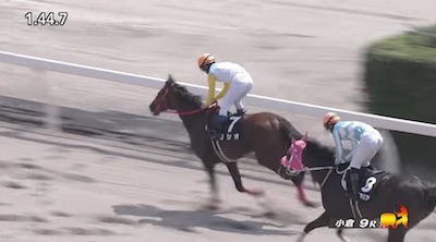 【宝塚記念】どこの馬の骨？ヨシオ・キングニミッツが伝説のグランプリに厚かましくも出場