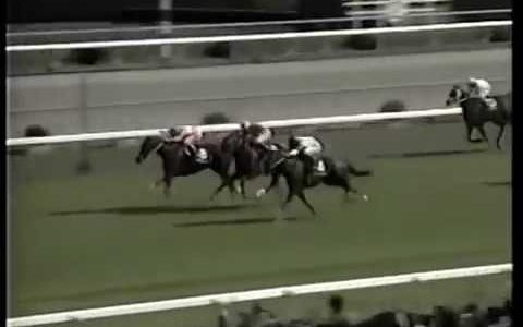 平成競馬ランキング糞過ぎ