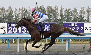 シチーの馬消えたな