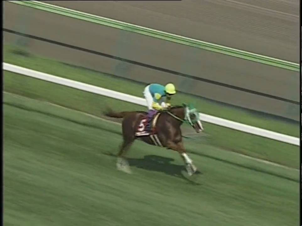 競馬】サイレンススズカ 天皇賞・秋 4点セット - その他