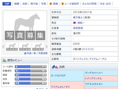 堀紘一オーナー所有馬・アイアムピッカピカが土曜中山6レースでデビュー