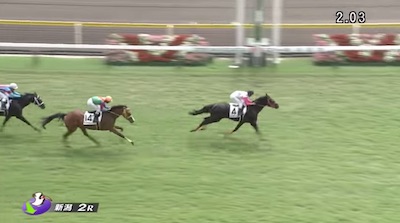 1勝馬ユウチェンジがカタールG2競走の招待を受諾