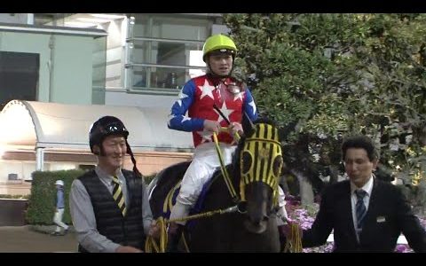南関東クラシック羽田盃馬のミューチャリーがセントライト記念に挑戦！