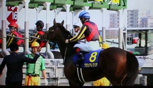 【定期】NHK競馬中継、今年も安定の酷さで直線で二頭の名前しか出ずｗｗｗｗｗｗｗ