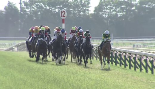 秋華賞2着馬カレンブーケドール　次走はジャパンカップ