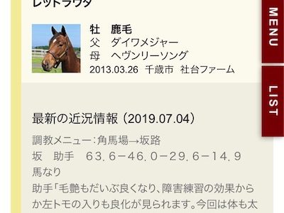 レッドラウダ、 7月28日(日)アイビスサマーダッシュは藤田菜七子騎手で予定