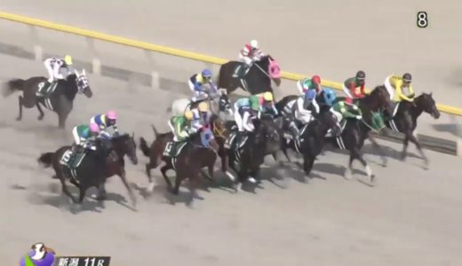 【白毛馬JRA重賞初制覇】ハヤヤッコがレパードステークスを勝利