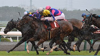 G1未勝利だけど強かった牝馬