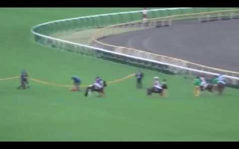 10/14（月）ジョッキーベイビーズ決勝（G1)　直線400m