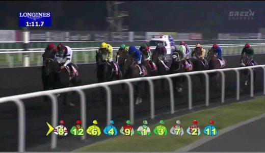 日本軽種馬協会がアニマルキングダムの導入を決定