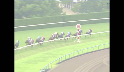 雨の日の競馬の思い出何かあったら教えて