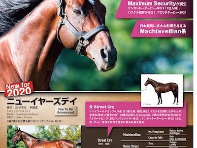 社台が新種牡馬ニューイヤーズデイを導入