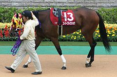 沢尻エリカって歴代牝馬ならどれくらいの実績？