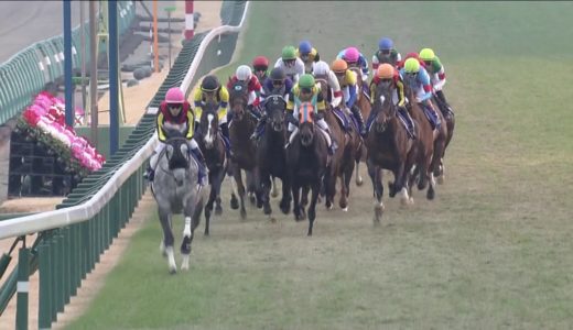 日本史上最も過大評価された馬