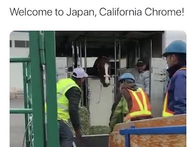 カリフォルニアクロームが日本に到着