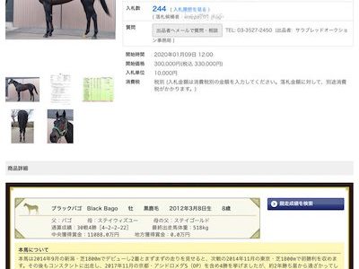 ブラックバゴ、サラブレッドオークションで576万円で落札