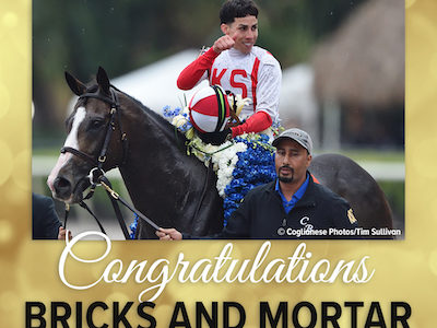 エクリプス賞、米年度代表馬は芝馬のブリックスアンドモルタルに決定