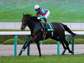 マルターズアポジー、中山記念で引退……鞍上は武士沢友治騎手