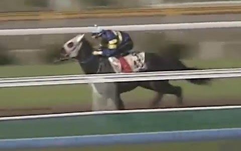 日本競馬の歴代最強マイラー四天王