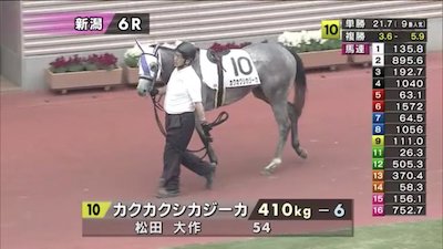 3大ふざけた馬名はバカニシナイデヨ ウラギルワヨ あと１つは 競馬情報まとめアンテナ