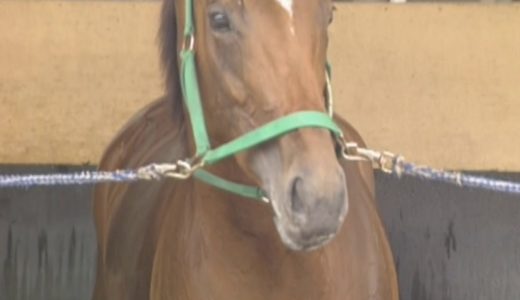 大河ドラマ「〇〇」←ここに入りそうな競走馬