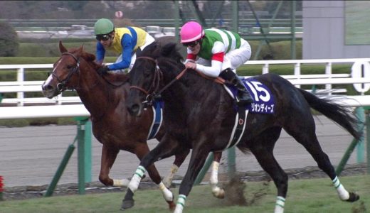 競馬史上で最も『空気を読めなかった馬』は？