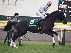 皐月賞12着のマイラプソディは予定通り武豊騎手で日本ダービーへ…アドマイヤビルゴの京都新聞杯は騎手未定
