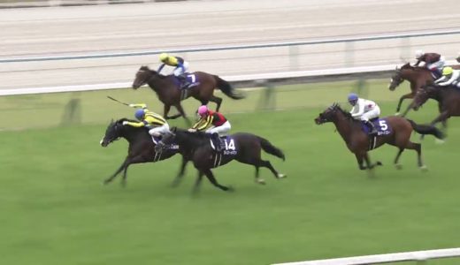 フィエールマンって日本競馬史上最も嫌われてる馬じゃない？