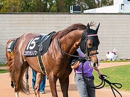 馬主西森鶴さんの馬名テキトーすぎワロタｗｗｗｗｗ