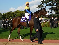 アパパネの初の牝馬「アカイトリノムスメ」……中川晃征厩舎長が「アパパネとディープのいい部分を足して2で割ったような馬」