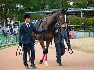 2020年の凱旋門賞、日本馬はディアドラのみ登録
