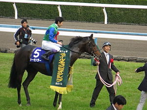 2400m以上のG1に連対した馬で、最もスプリント能力があるのは？