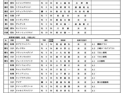 SI昇格の習志野きらっとスプリント、選考枠の問題で殆どの有力馬が除外か アピアやノブワイルドも