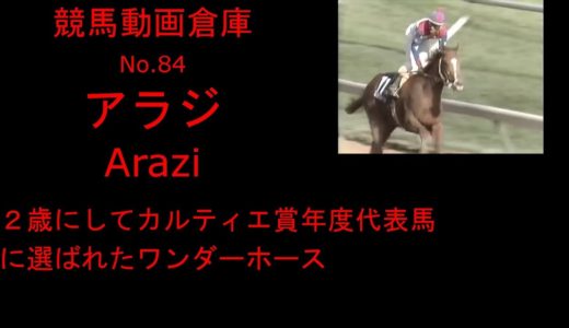 歴代最強超早熟2歳馬決定戦！（あくまで、2歳時のレースだけで）