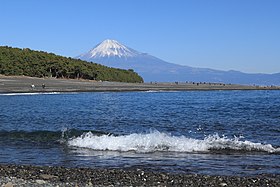 静岡に競馬場があったらありそうなレース名は？