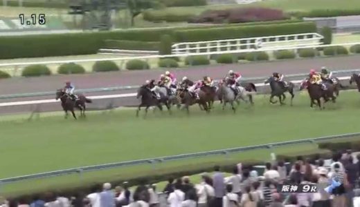 1頭しか活躍馬を出さなかった種牡馬