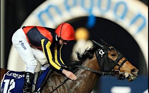 牝馬限定G1を抜いたら最強牝馬が見えてきた件ｗｗｗｗ