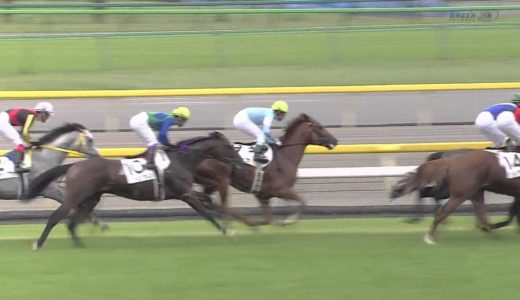 快速馬←イメージした馬は？