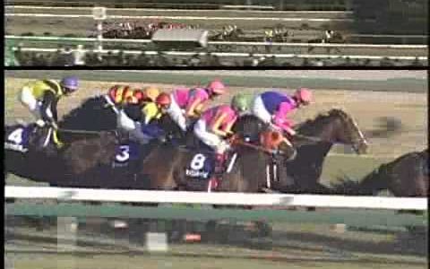 G1を複数回勝った馬の中で一番陰が薄い馬あげた奴が優勝