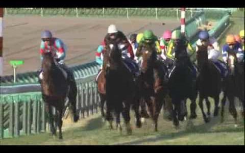 G1馬でワンツースリーってないよね？